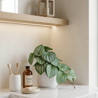 Faux Greenery - The Sage