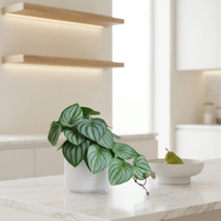 Faux Greenery - The Sage