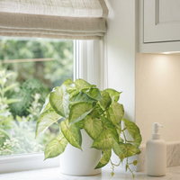 Faux Greenery - The Nook