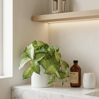 Faux Greenery - The Nook