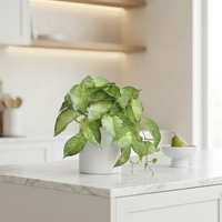 Faux Greenery - The Nook