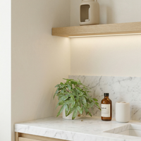 Faux Greenery - The Zen