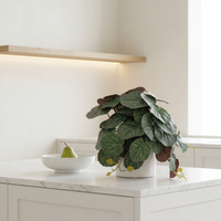 Faux Greenery - The Petite