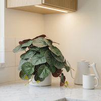 Faux Greenery - The Petite