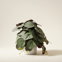 Faux Greenery - The Petite