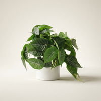 Faux Greenery - The Dew