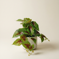 Faux Greenery - The Sprig